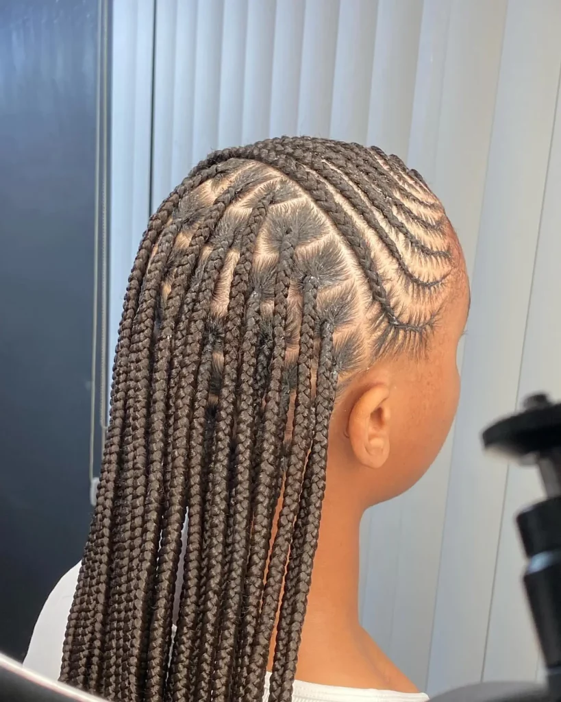 lemonade knotless braids hairstyles